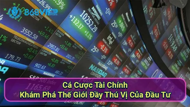 ca-cuoc-tai-chinh